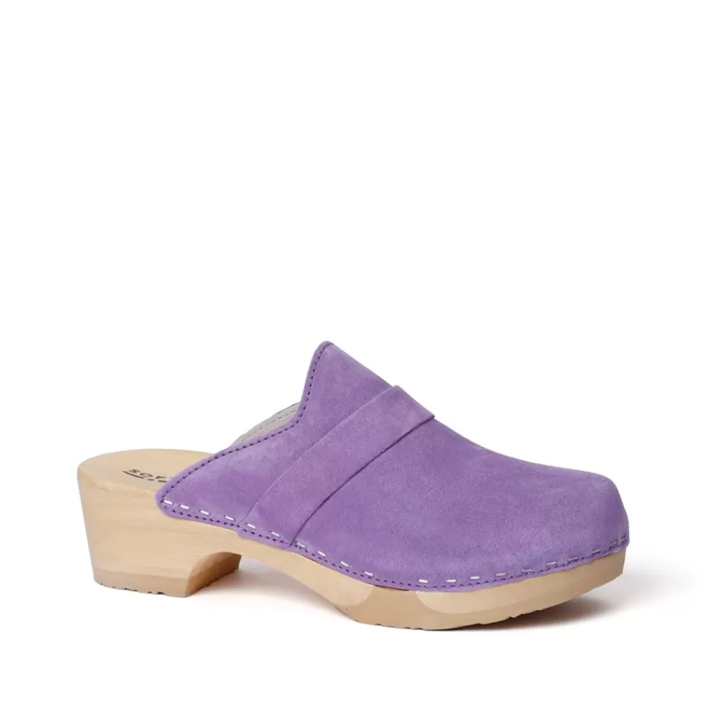 SOFTCLIX Tamina Kaschmir Violett (Natur)<Frau Clogs